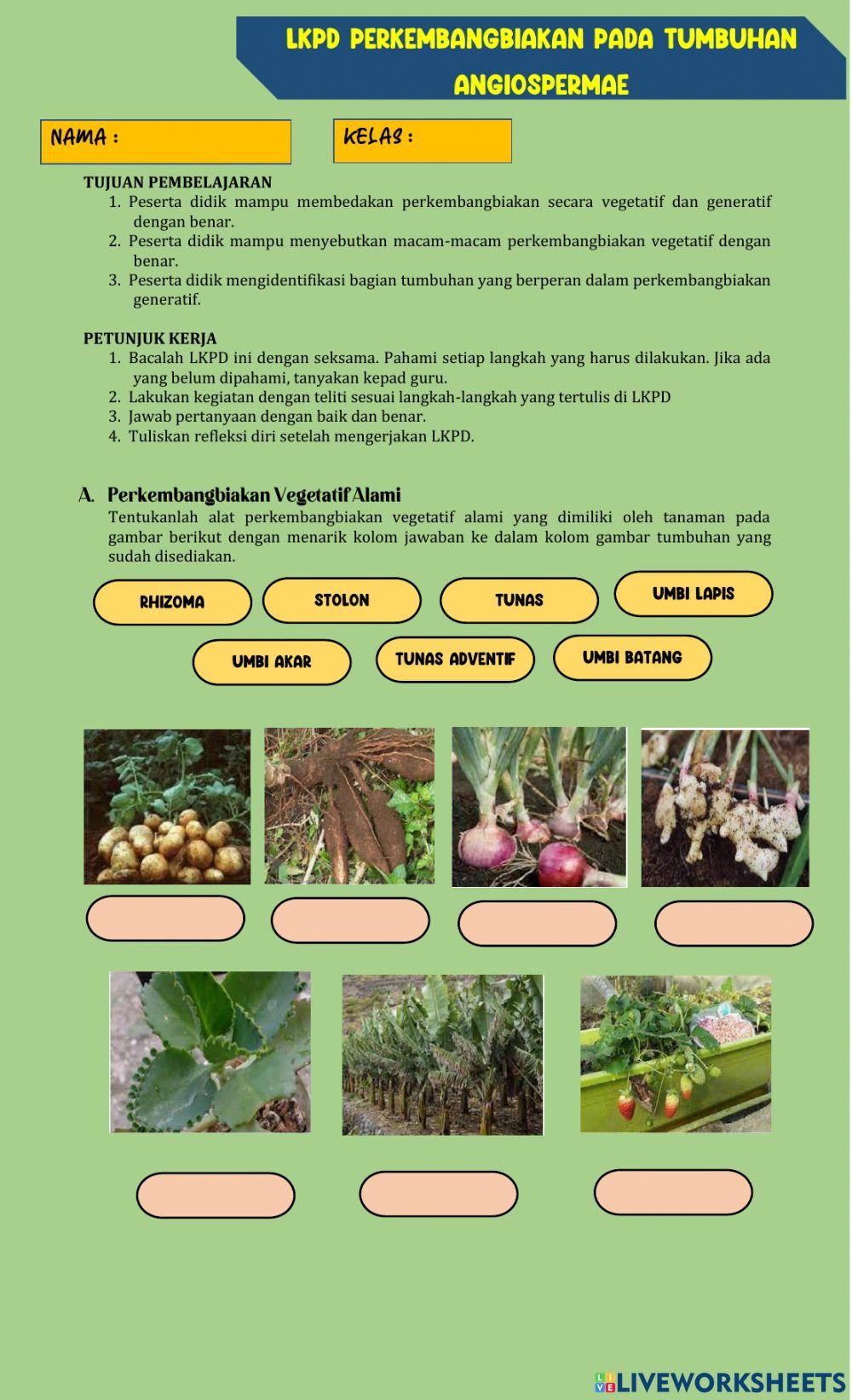 Reproduksi pada tumbuhan