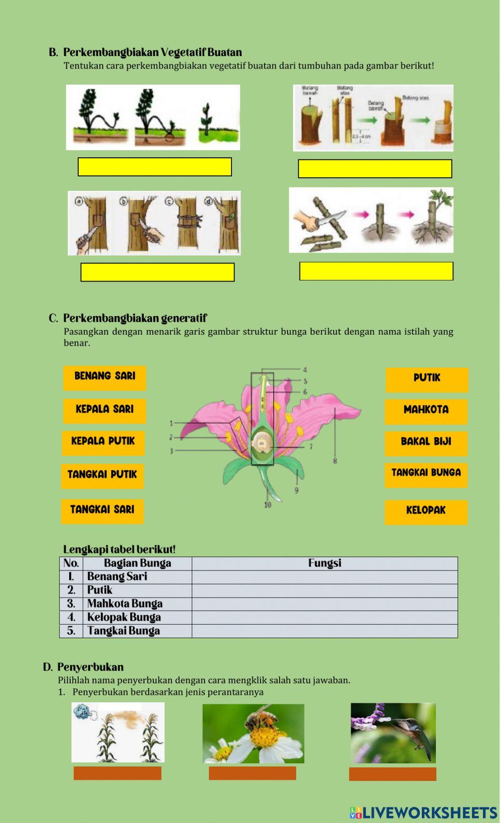 Reproduksi pada tumbuhan