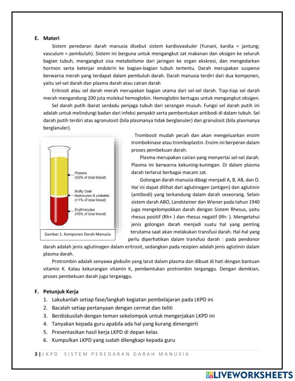 Lkpd sistem peredaran darah pertemuan 1