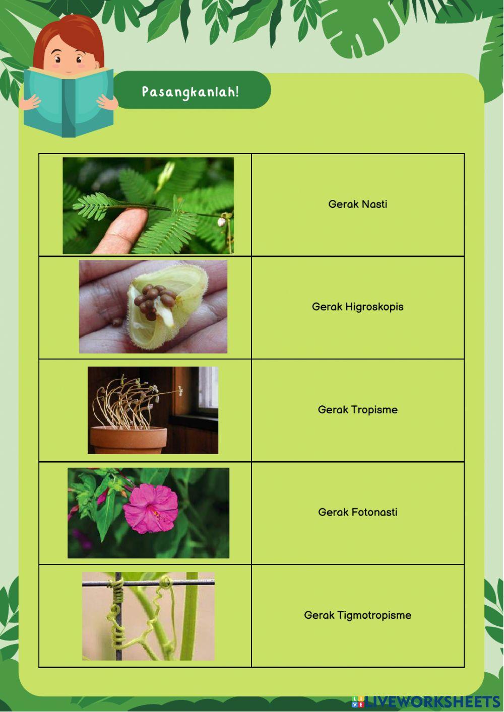 Lkpd sistem gerak hewan dan tumbuhan