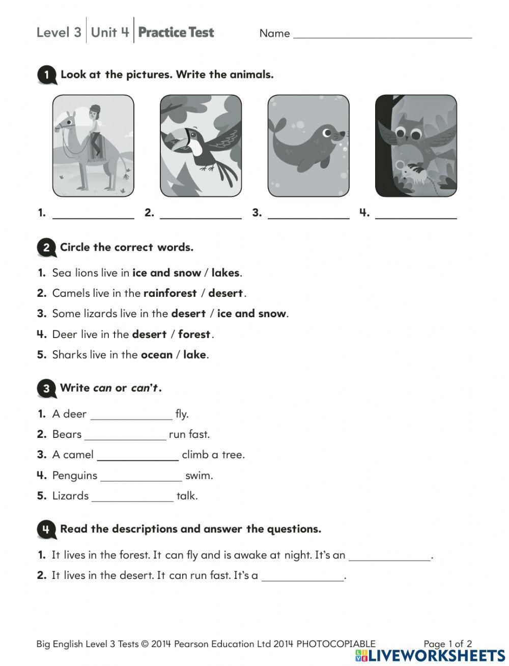 big English 3 unit 4