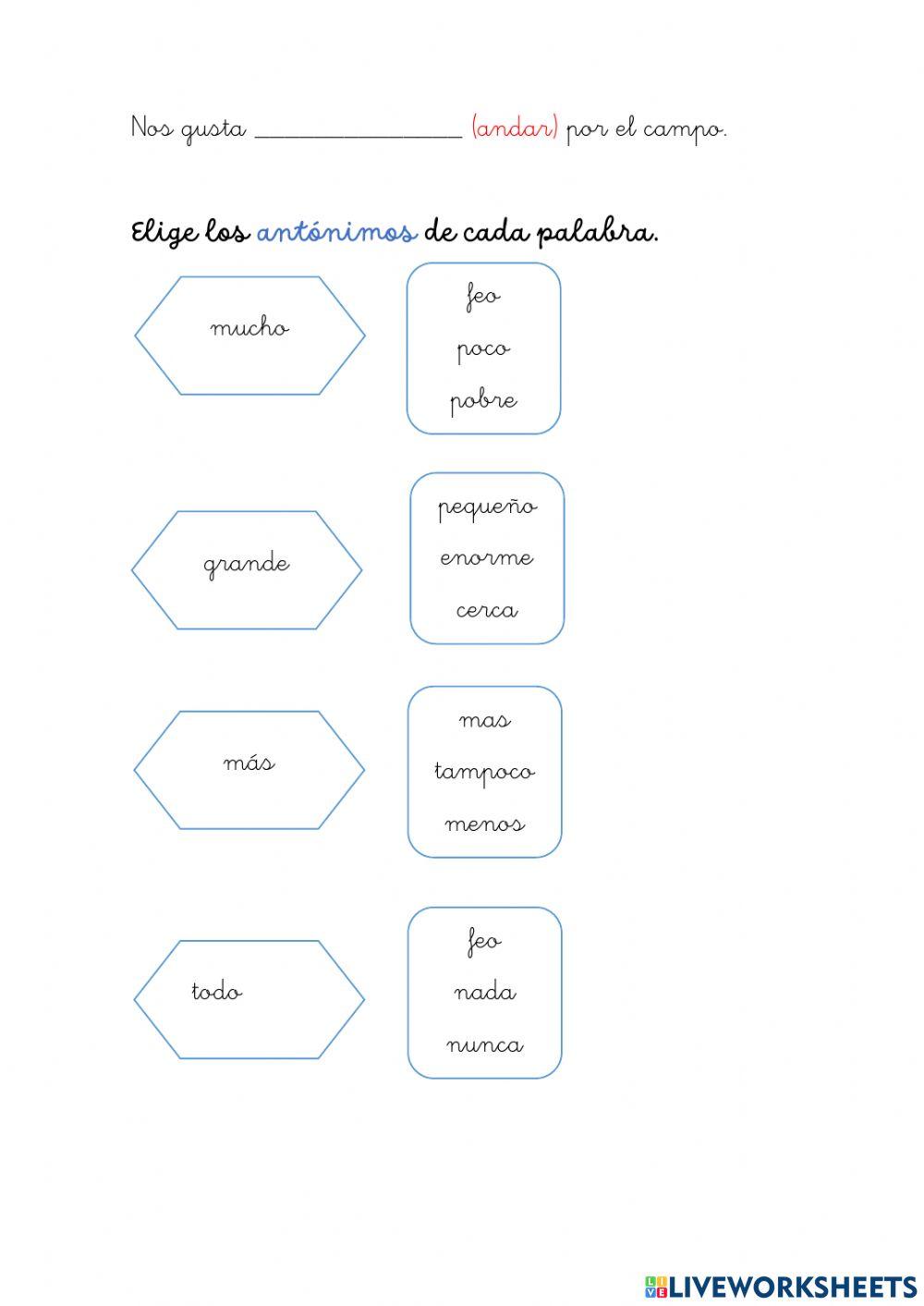 Los sinónimos y antónimos L3