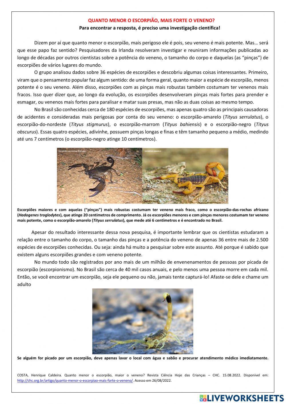 Divulgação científica