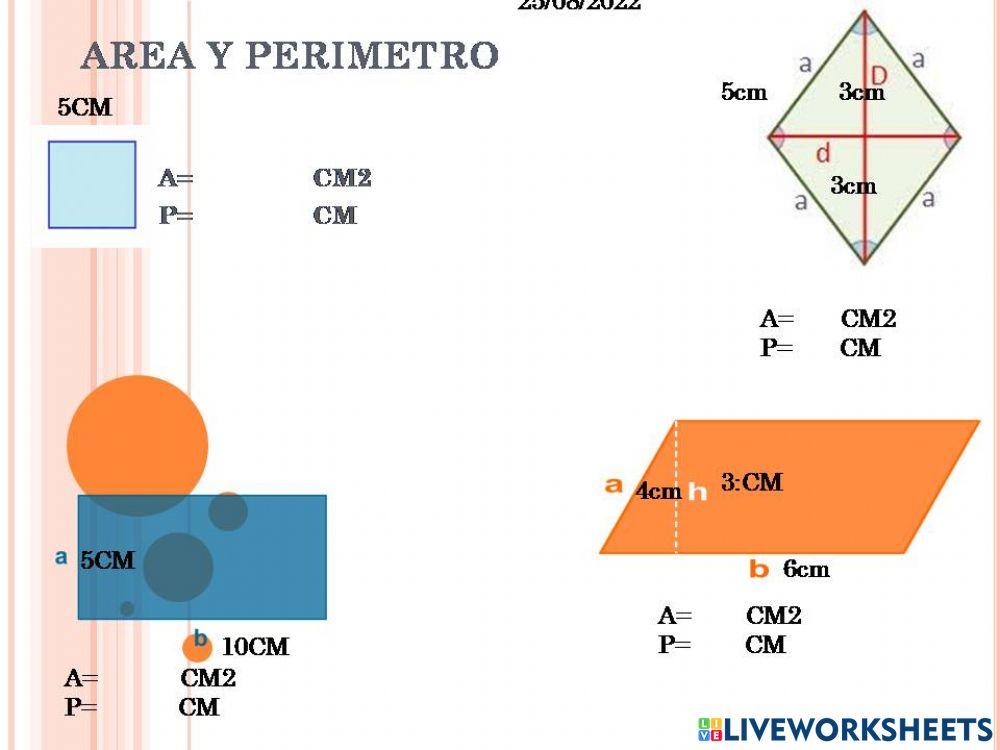 Area y perimetro