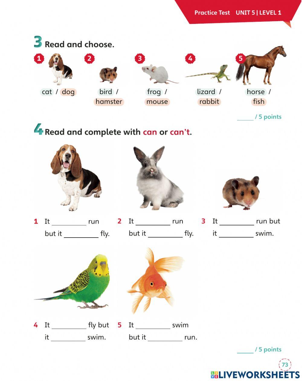 English corde 1 unit 5