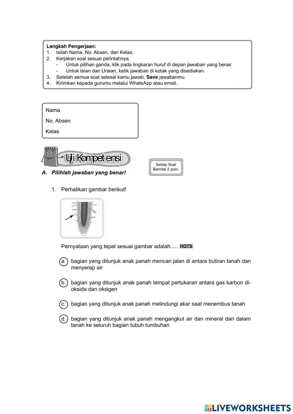 Tumbuhan sumber kehidupan