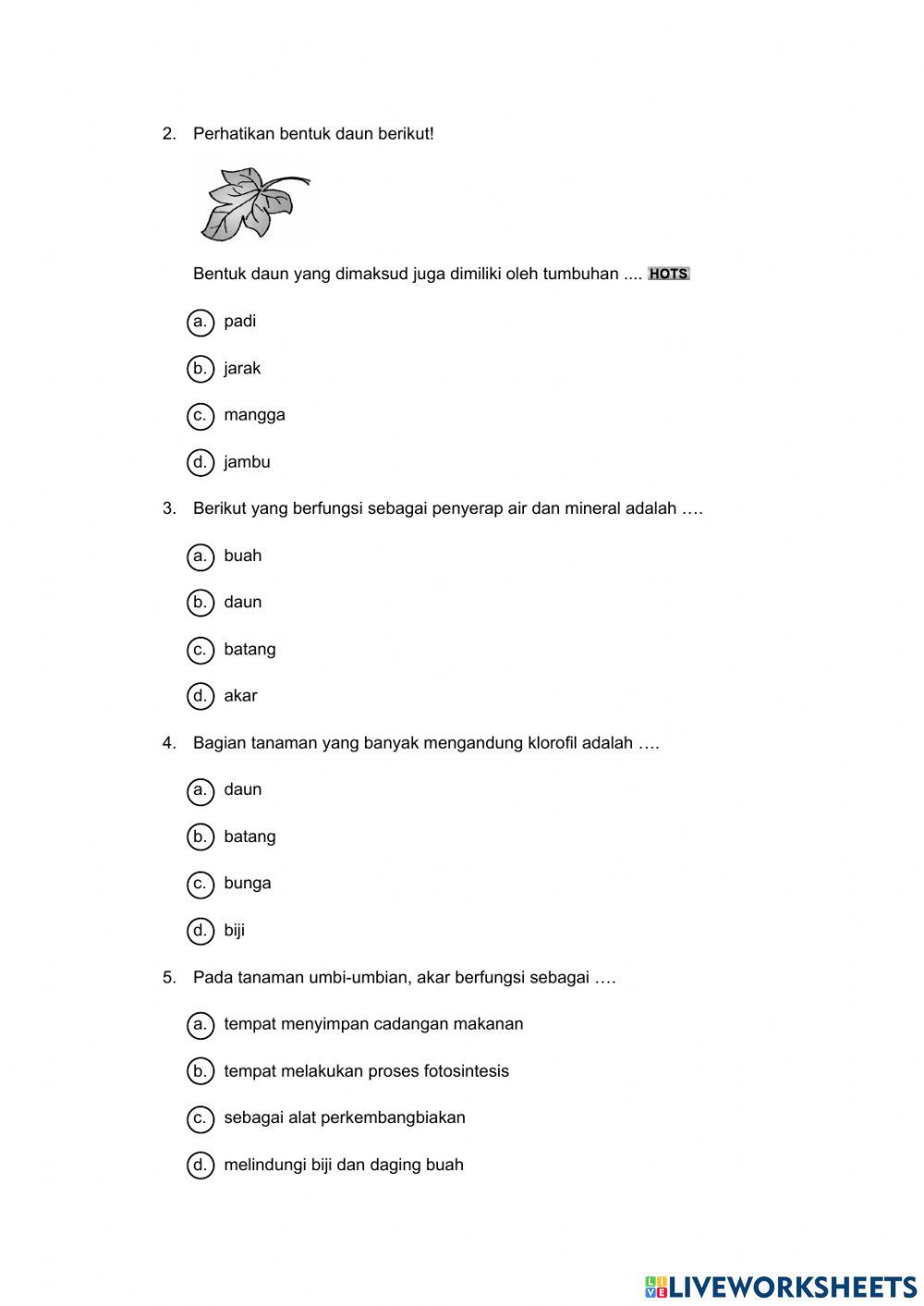 Tumbuhan sumber kehidupan