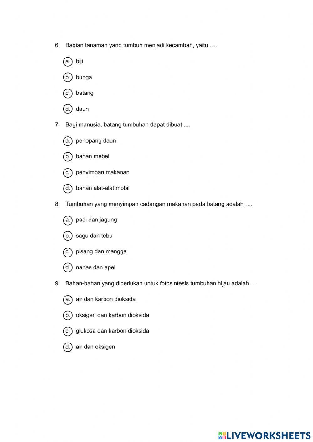 Tumbuhan sumber kehidupan