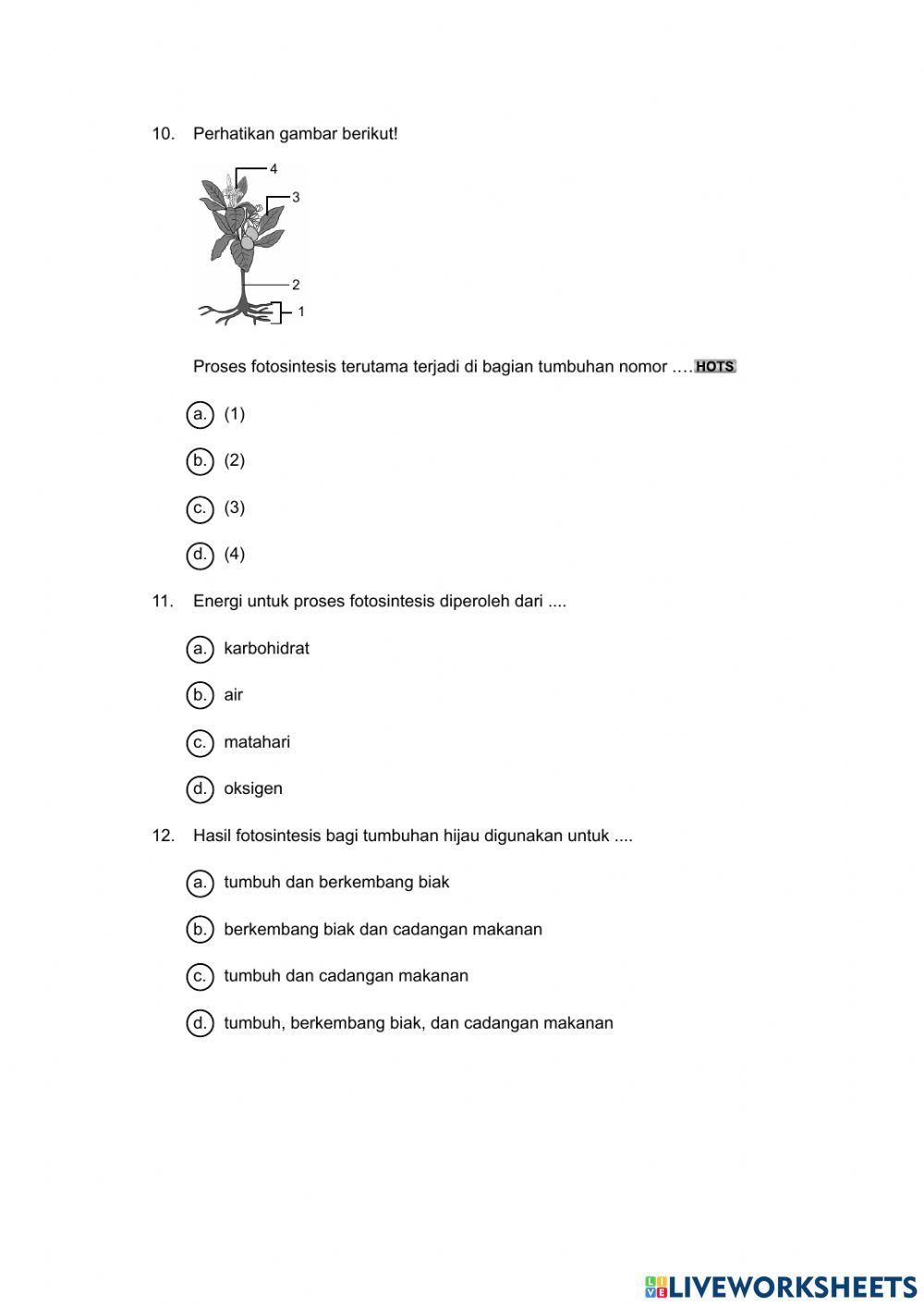 Tumbuhan sumber kehidupan