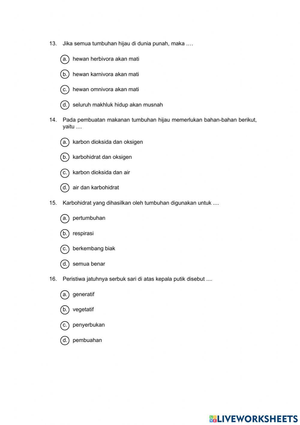 Tumbuhan sumber kehidupan