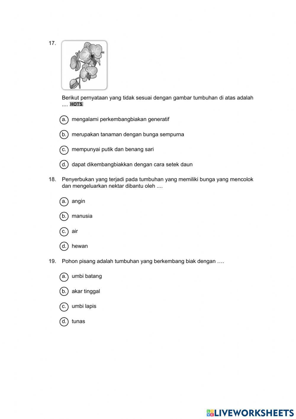 Tumbuhan sumber kehidupan