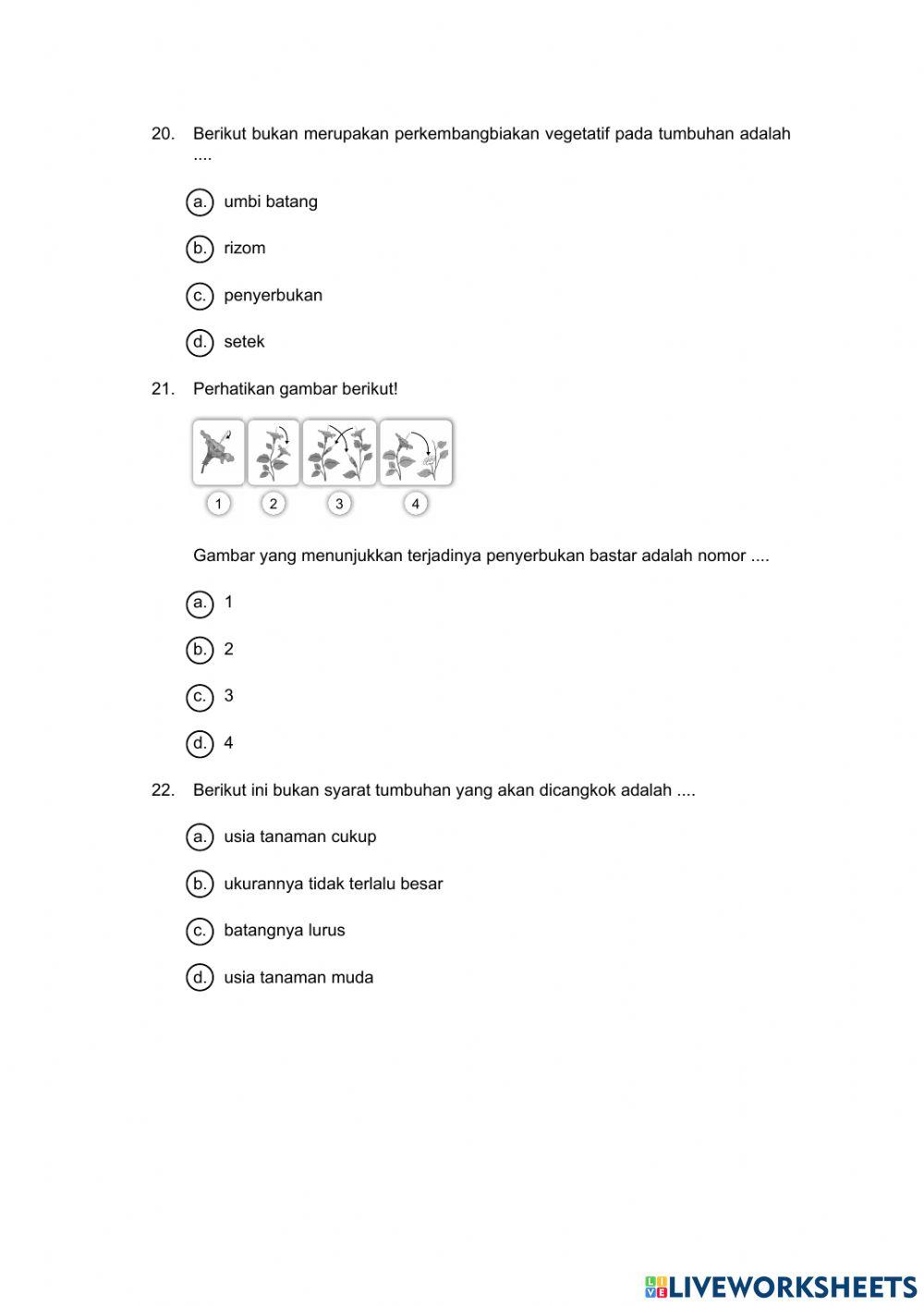 Tumbuhan sumber kehidupan