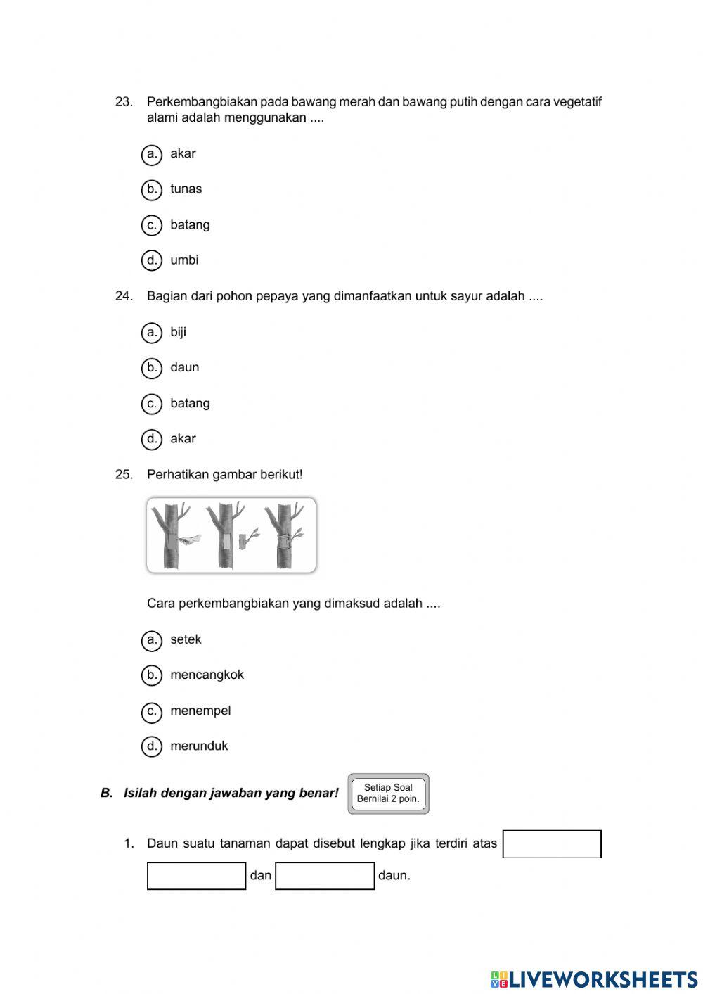 Tumbuhan sumber kehidupan
