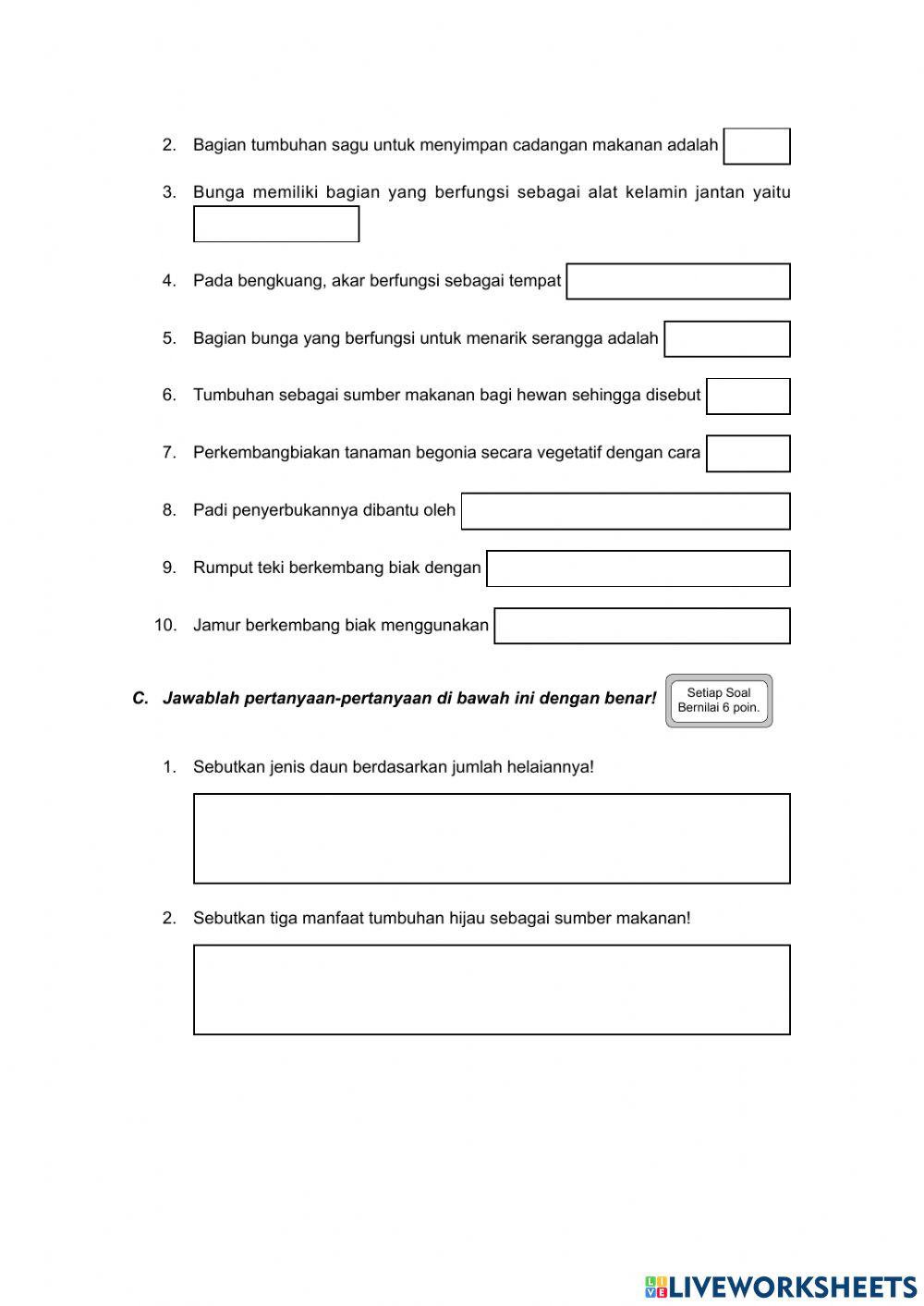 Tumbuhan sumber kehidupan