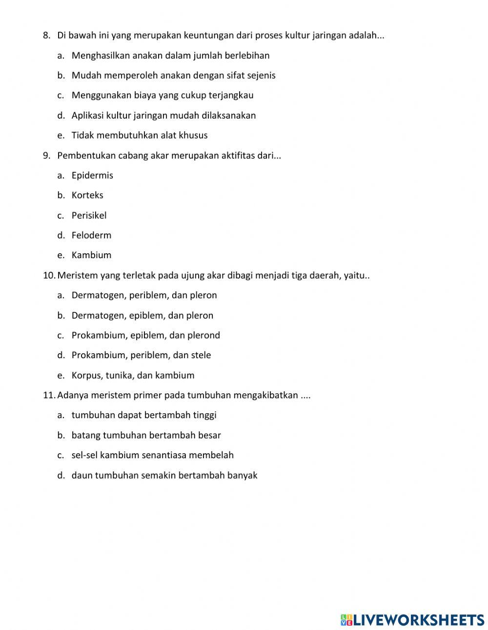 LKPD Jaringan Tumbuhan