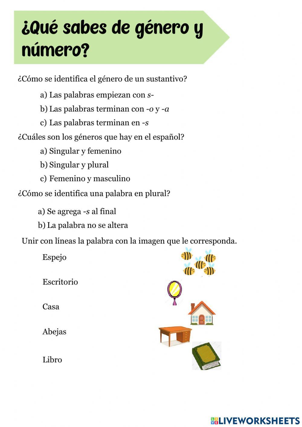 ¿Qué sabes de género y número?