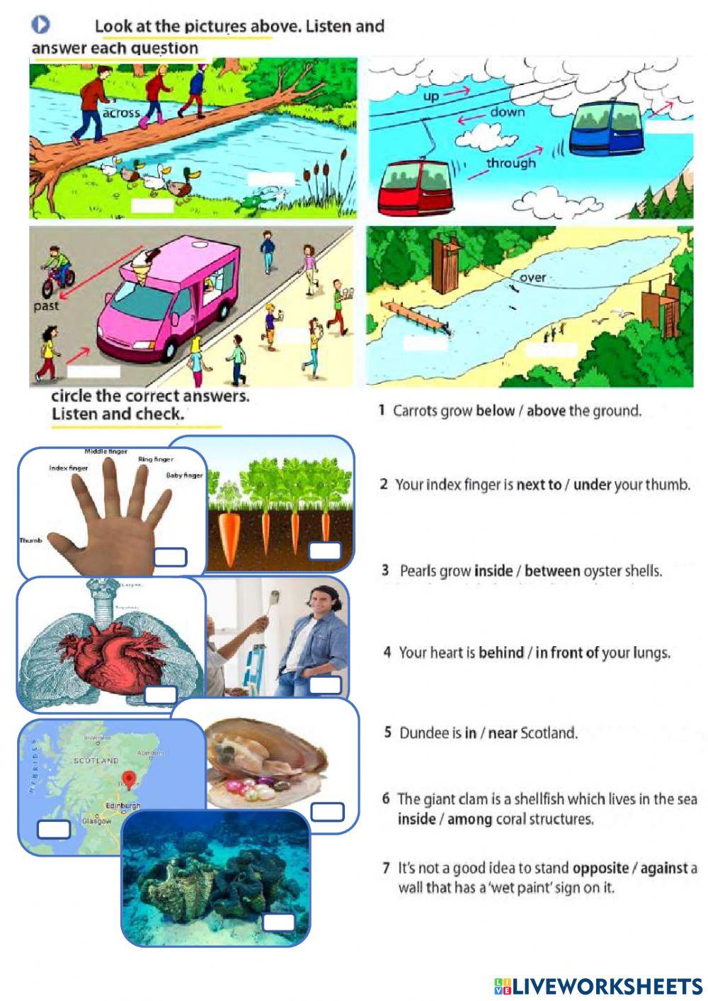 Prepositions of place and movement