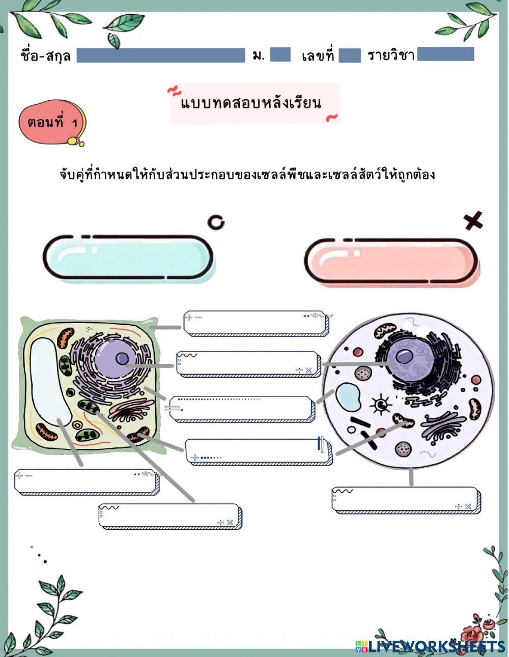 แบบทดสอบหลังเรียน