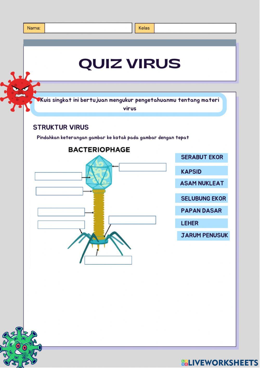 Virus interactive worksheet for 10 | Live Worksheets