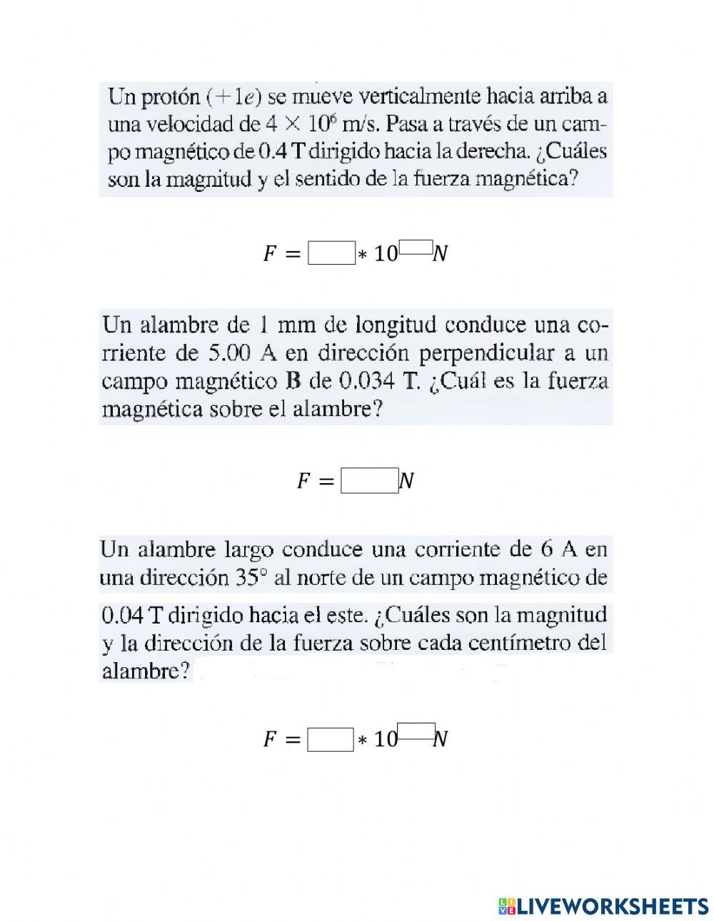 Fuerza Sobre una Carga en Movimiento