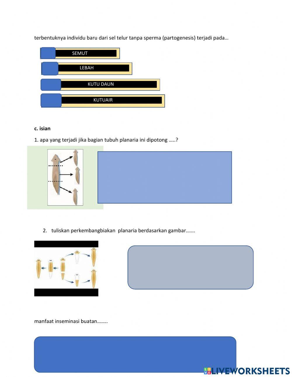 Perkembangbiakan hewan