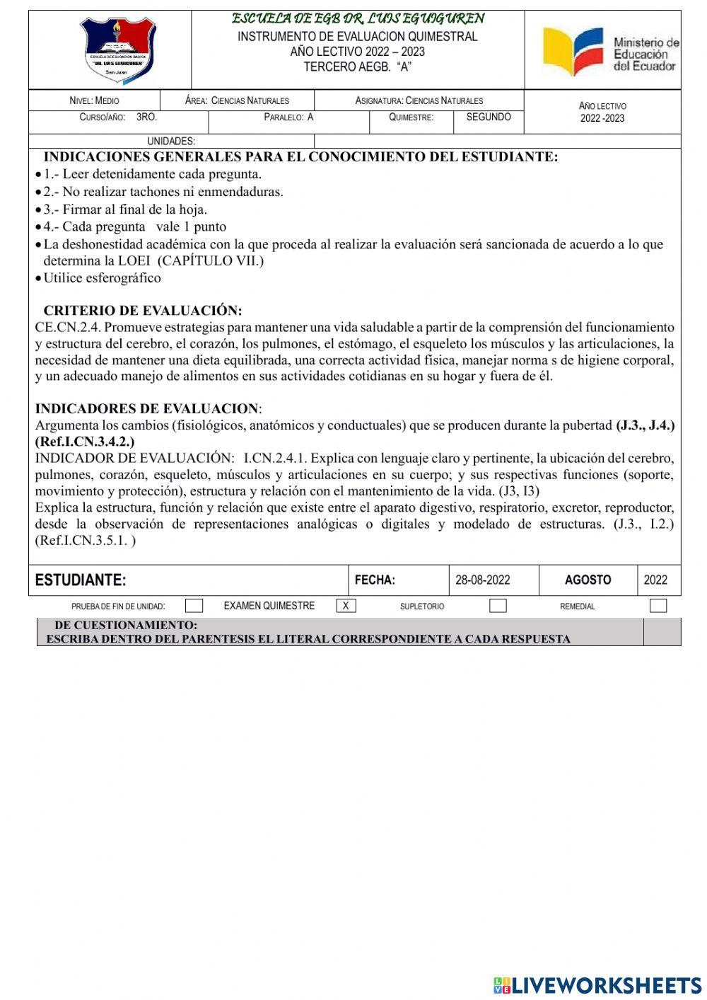 Evaluacion quimestral