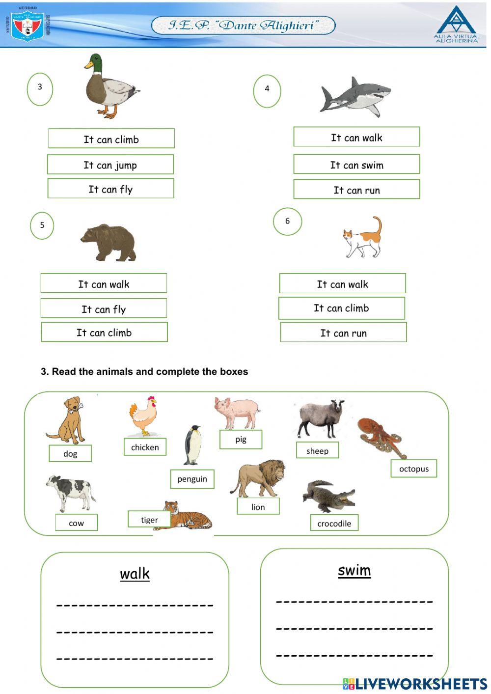 Animal's abilities