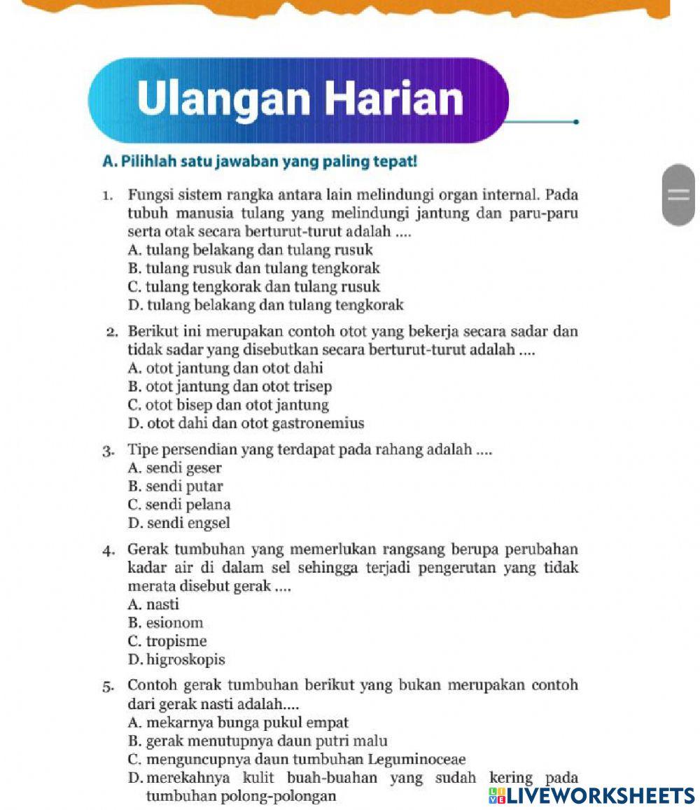 Ulangan Harian 1