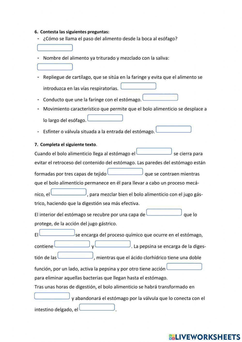 Función de nutrición: Aparato digestivo