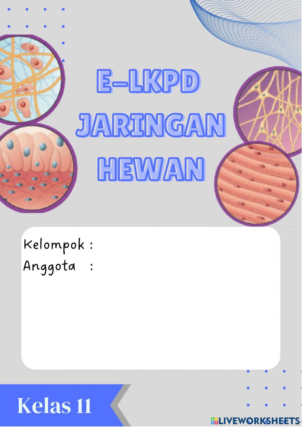 Jaringan Ikat Hewan
