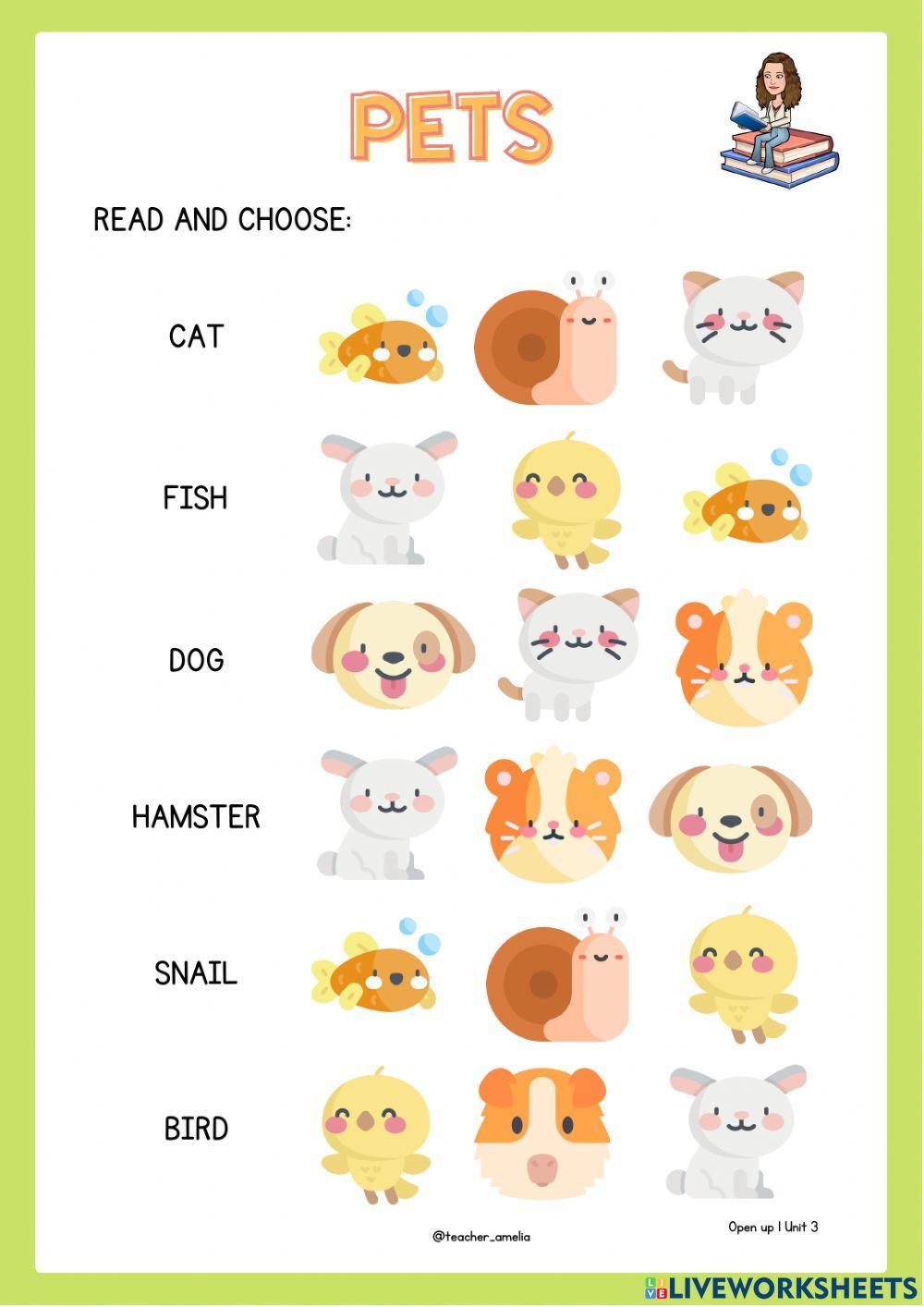 1º unit 3:pets