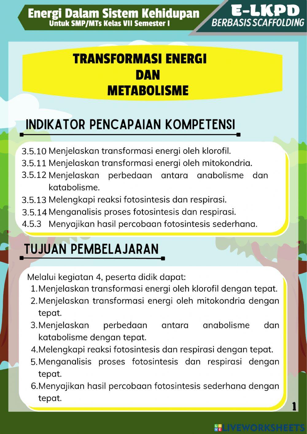 Energi Dalam Sistem Kehidupan Kegiatan 4