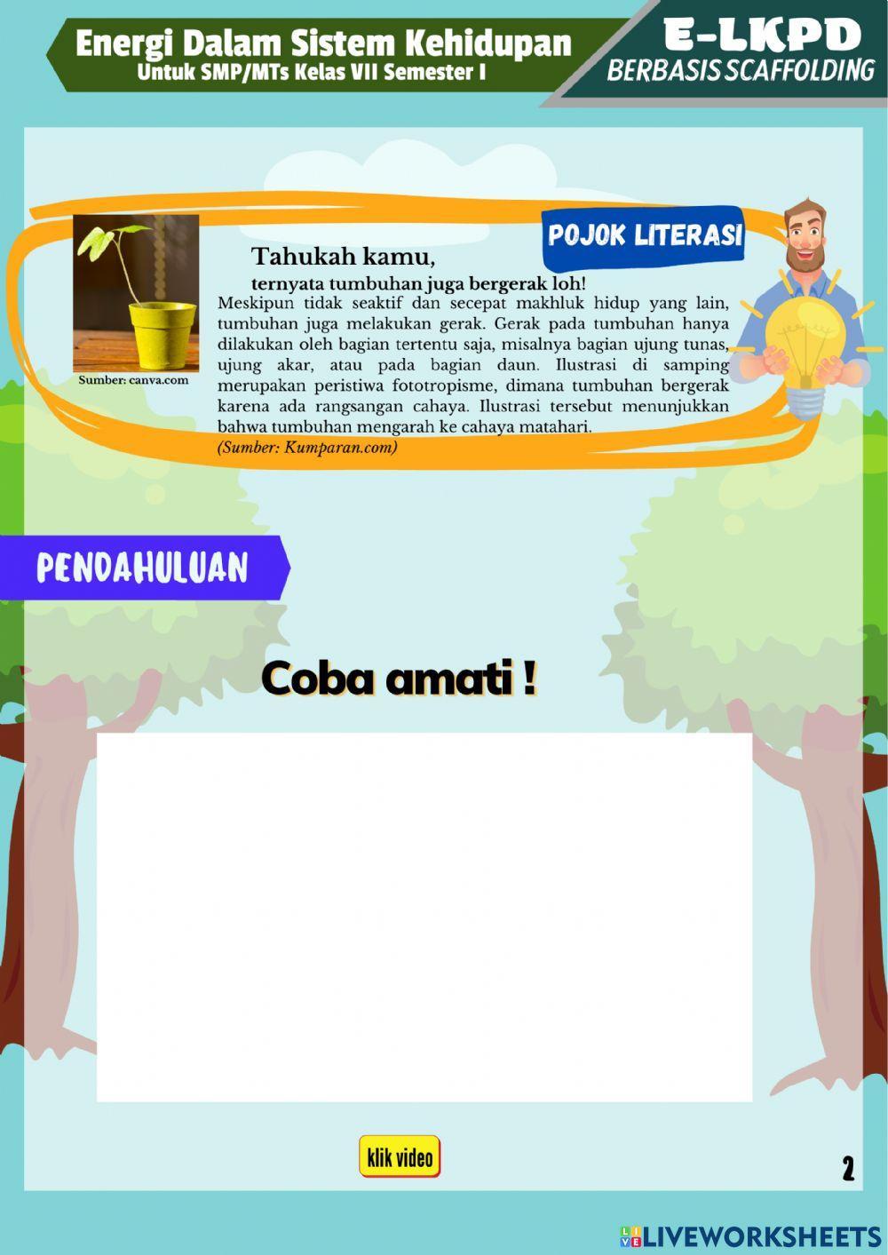 Energi Dalam Sistem Kehidupan Kegiatan 4