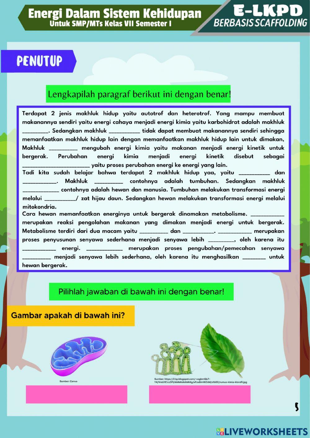 Energi Dalam Sistem Kehidupan Kegiatan 4