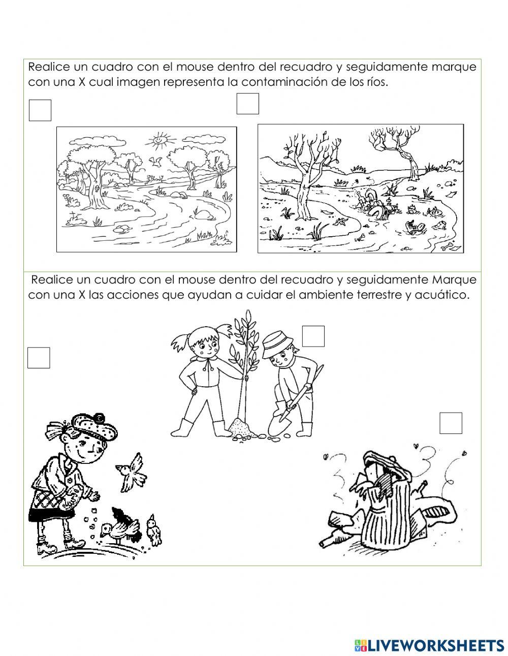 Cuidado del ambiente terrestre y acuático.
