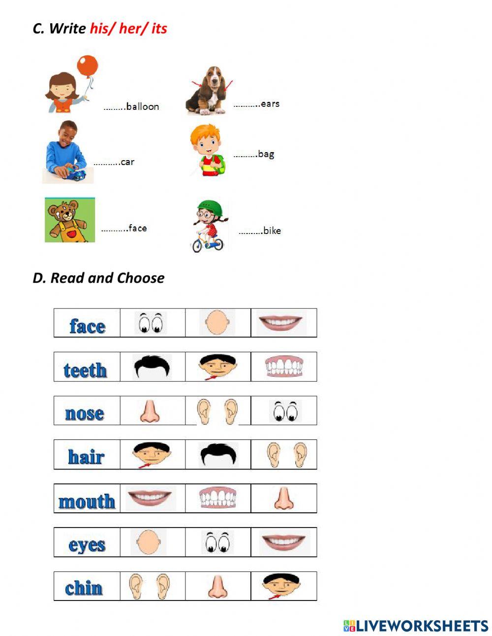 Body and face - lesson 3