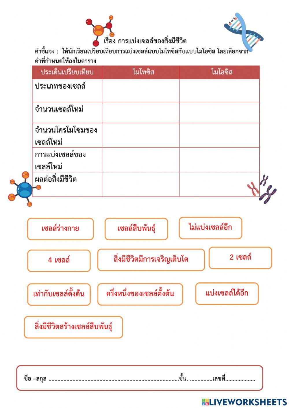 การแบ่งเซลล์