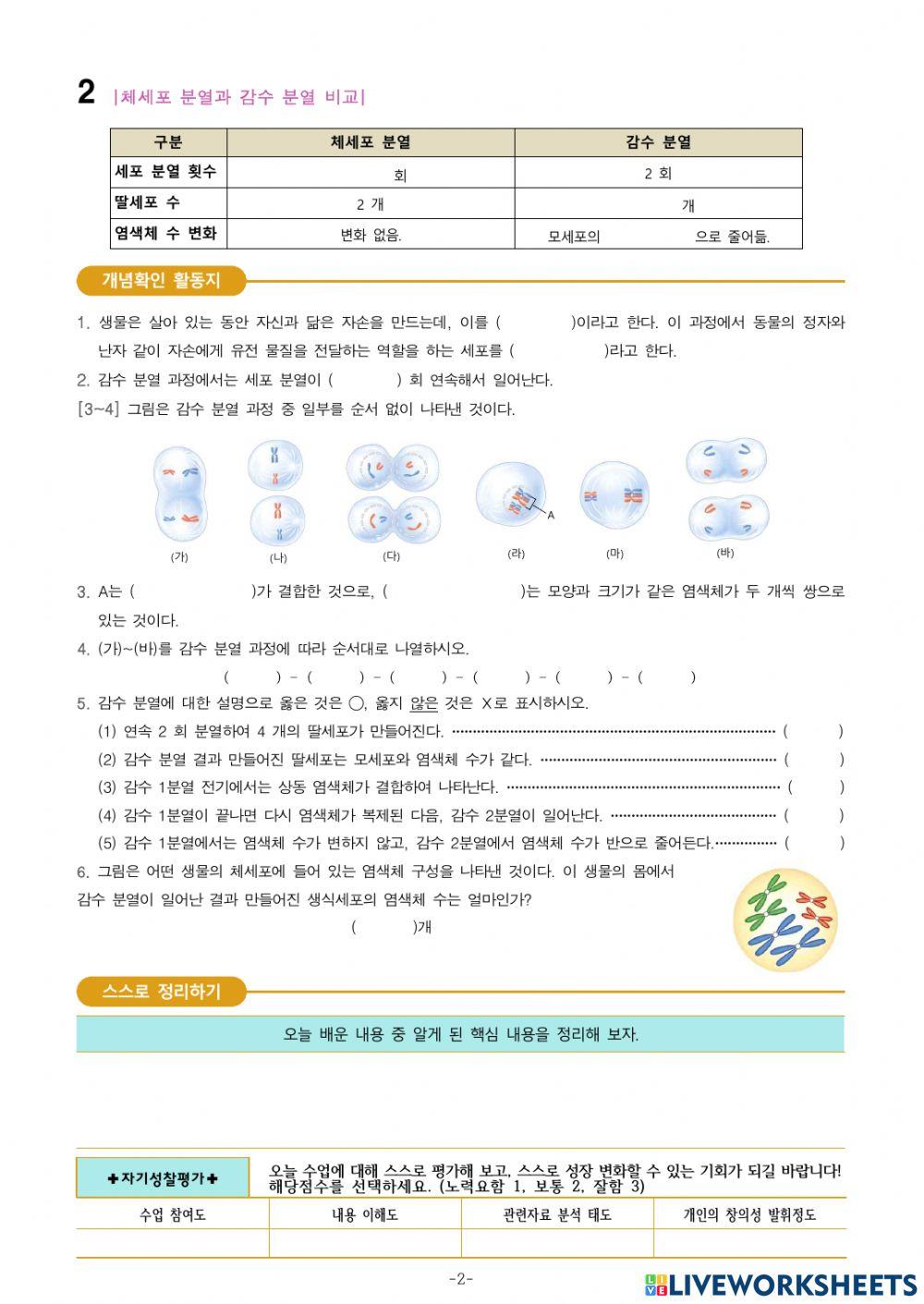 중3-Ⅴ-1-3. 생식세포가 만들어지는 과정
