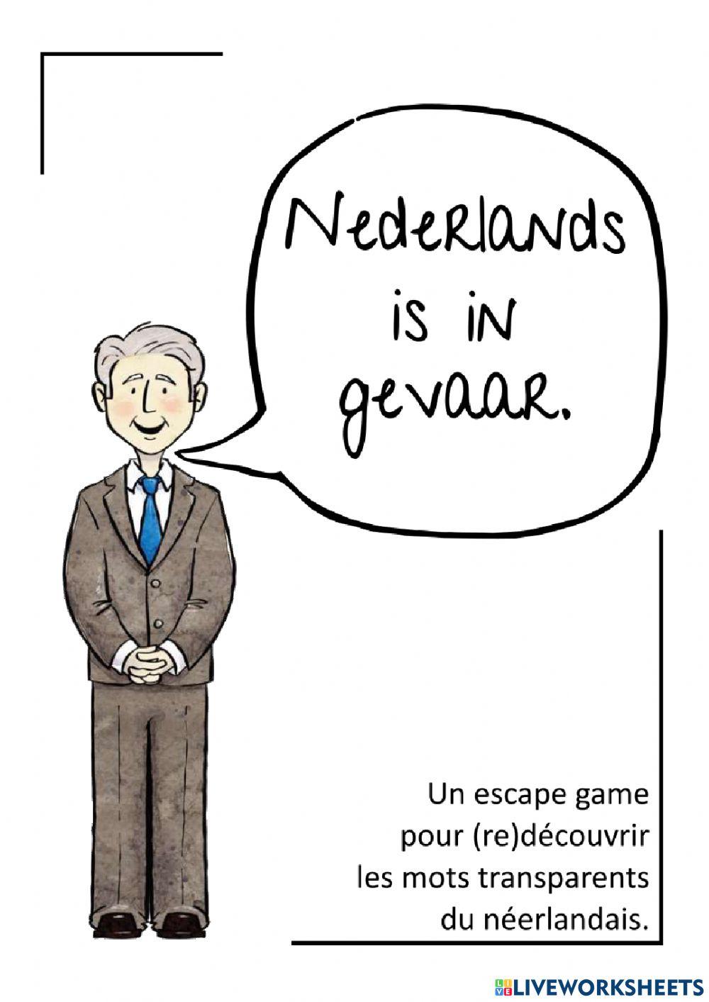 Nederlands is in gevaar