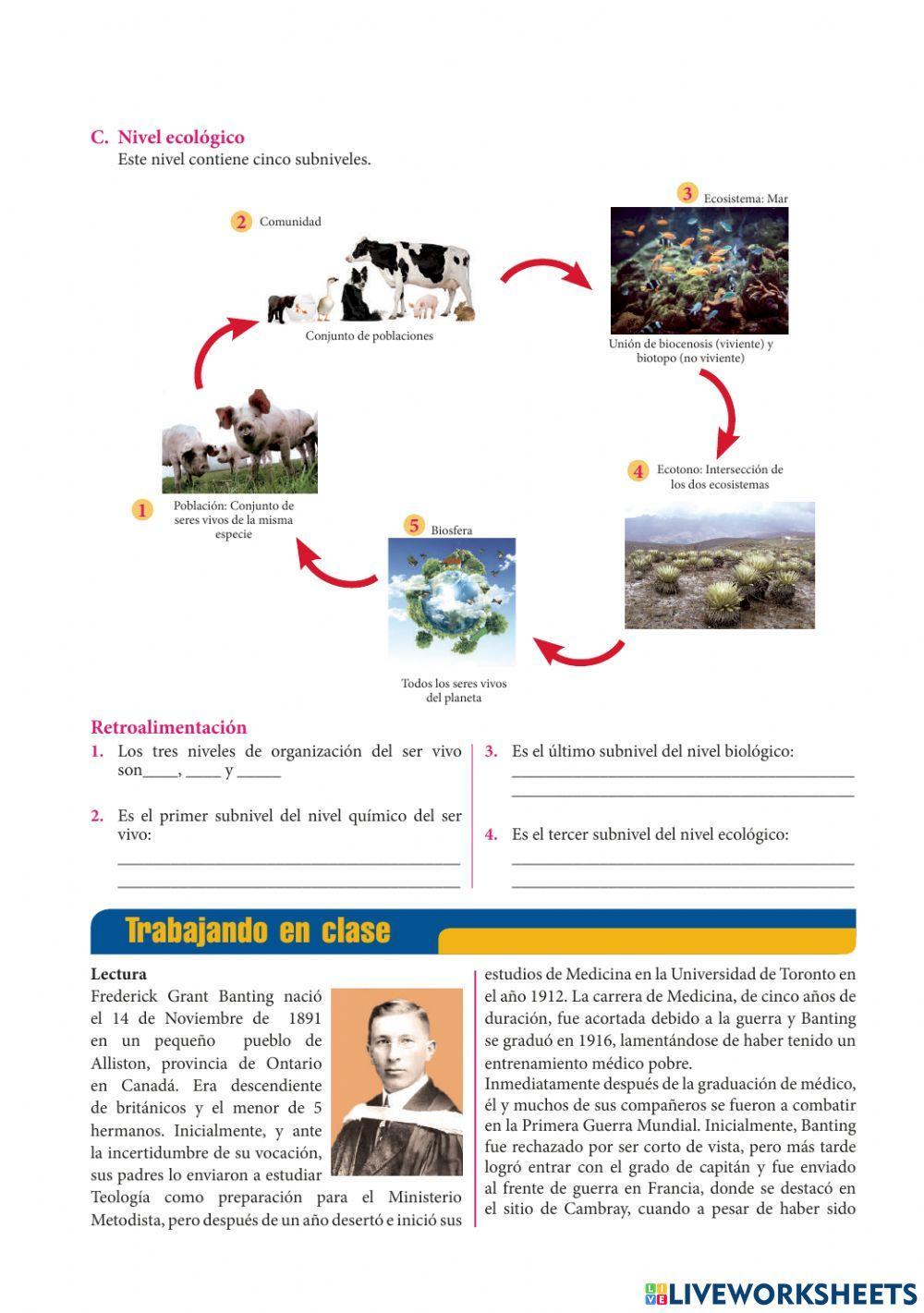 Niveles de organización de los seres vivos