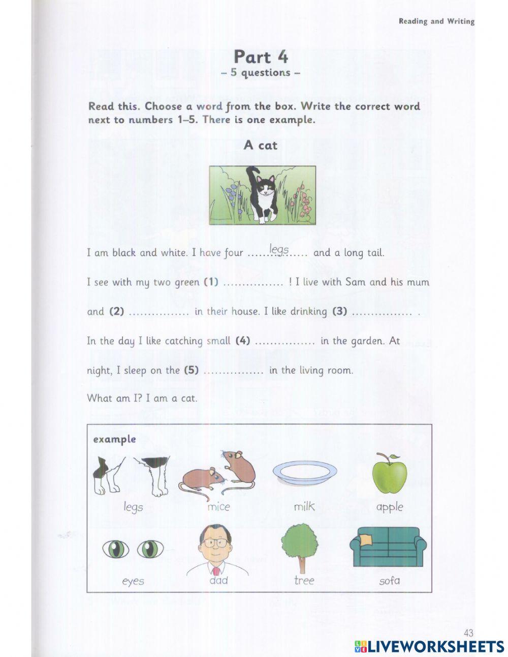 starter 2 - test 3 - reading and writing