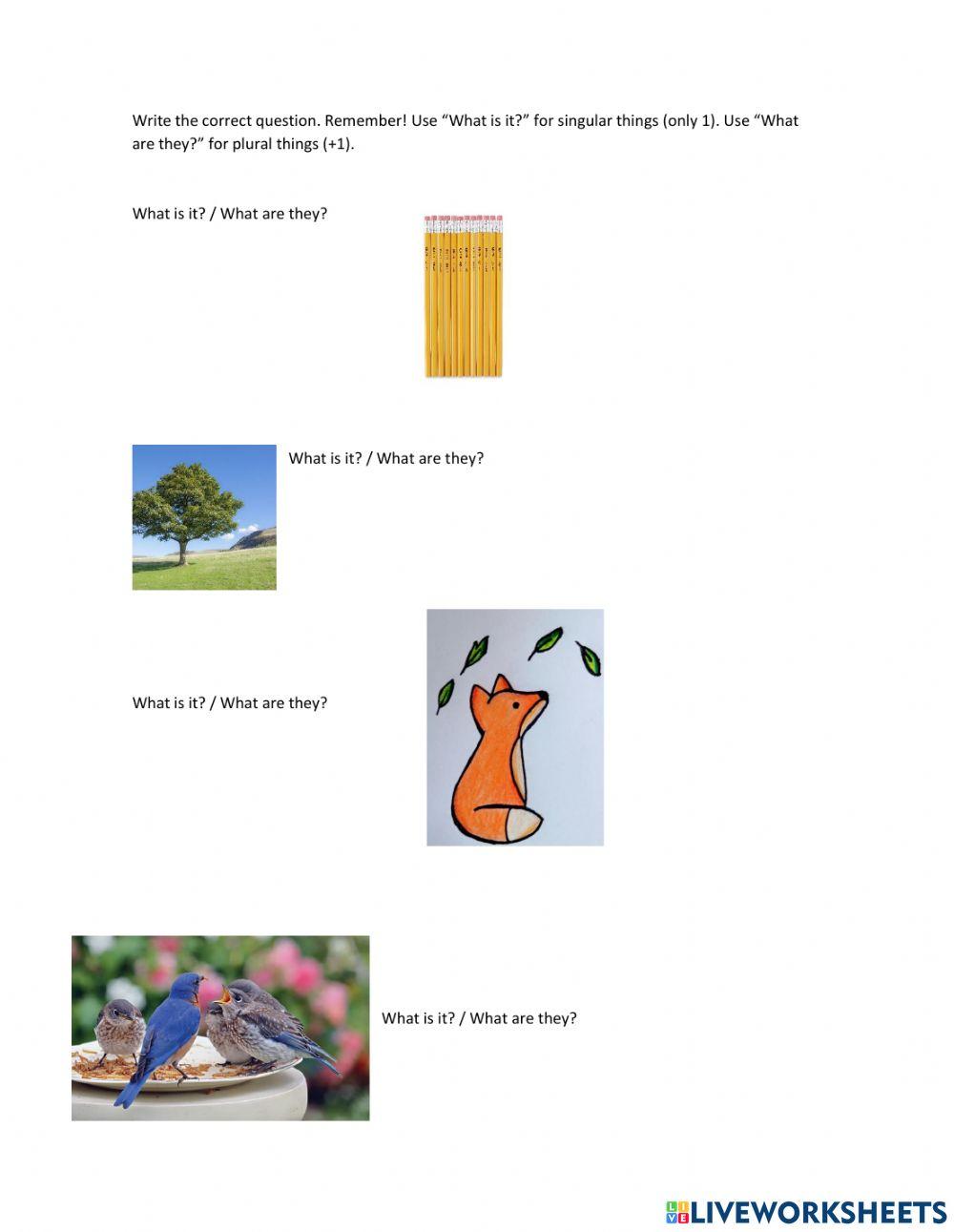 What is it? What are they?