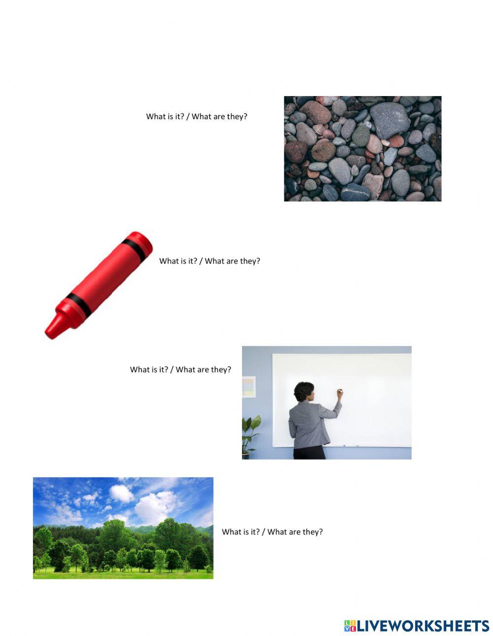 What is it? What are they?