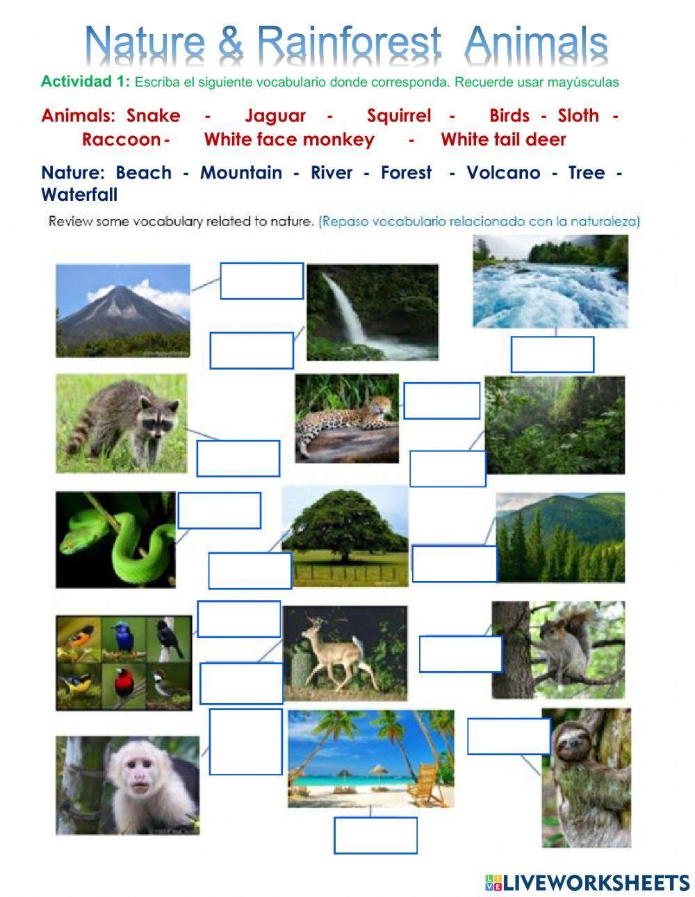 Nature and Animals Practice