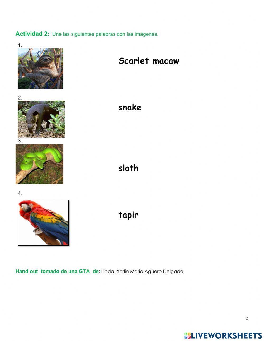 Nature and Animals Practice