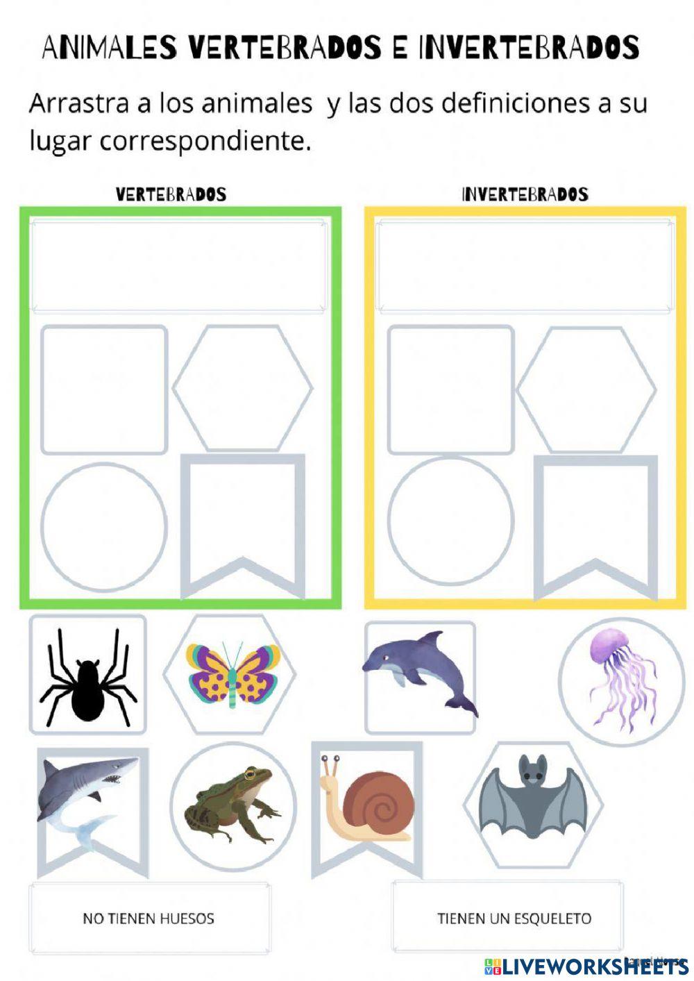 Vertebrados e Invertebrados