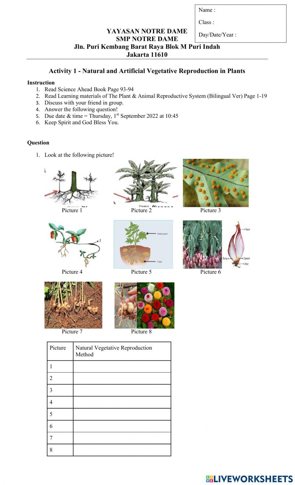 5353435-activity-1-natural-and-artificial-vegetative