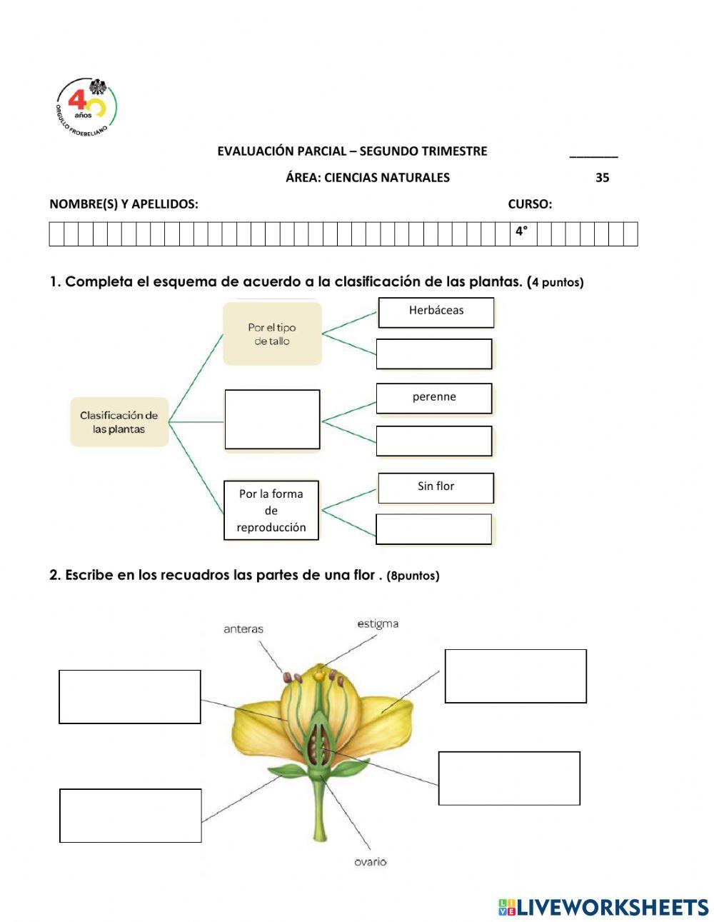 Examen de ciencias naturales