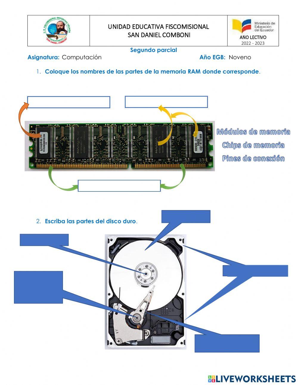 Partes de la memoria RAM