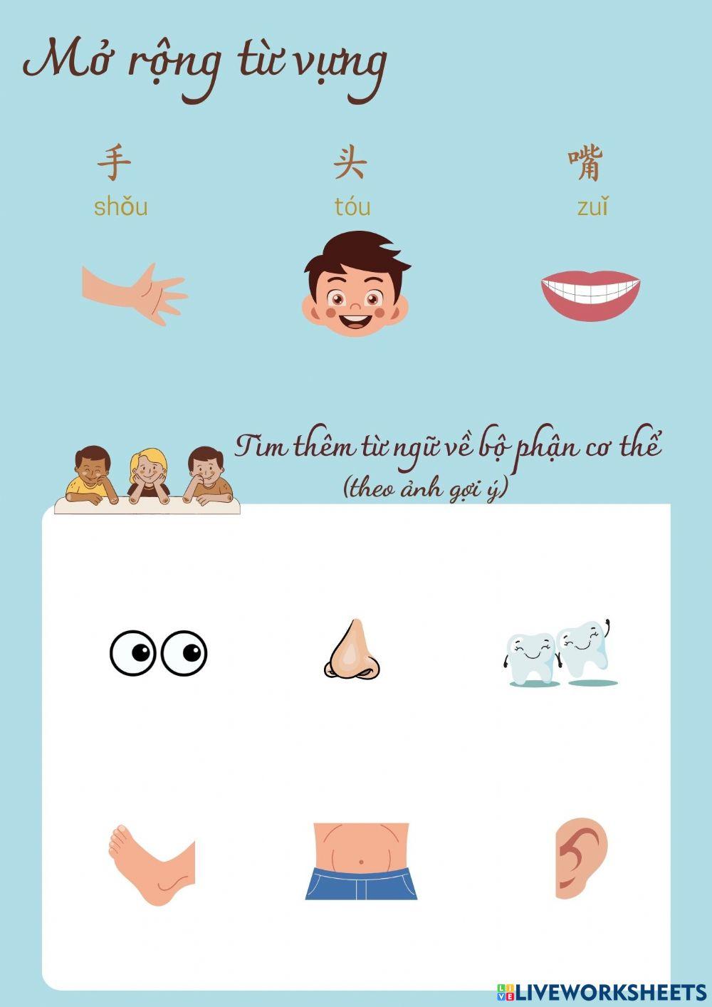 Bài tập bài khóa